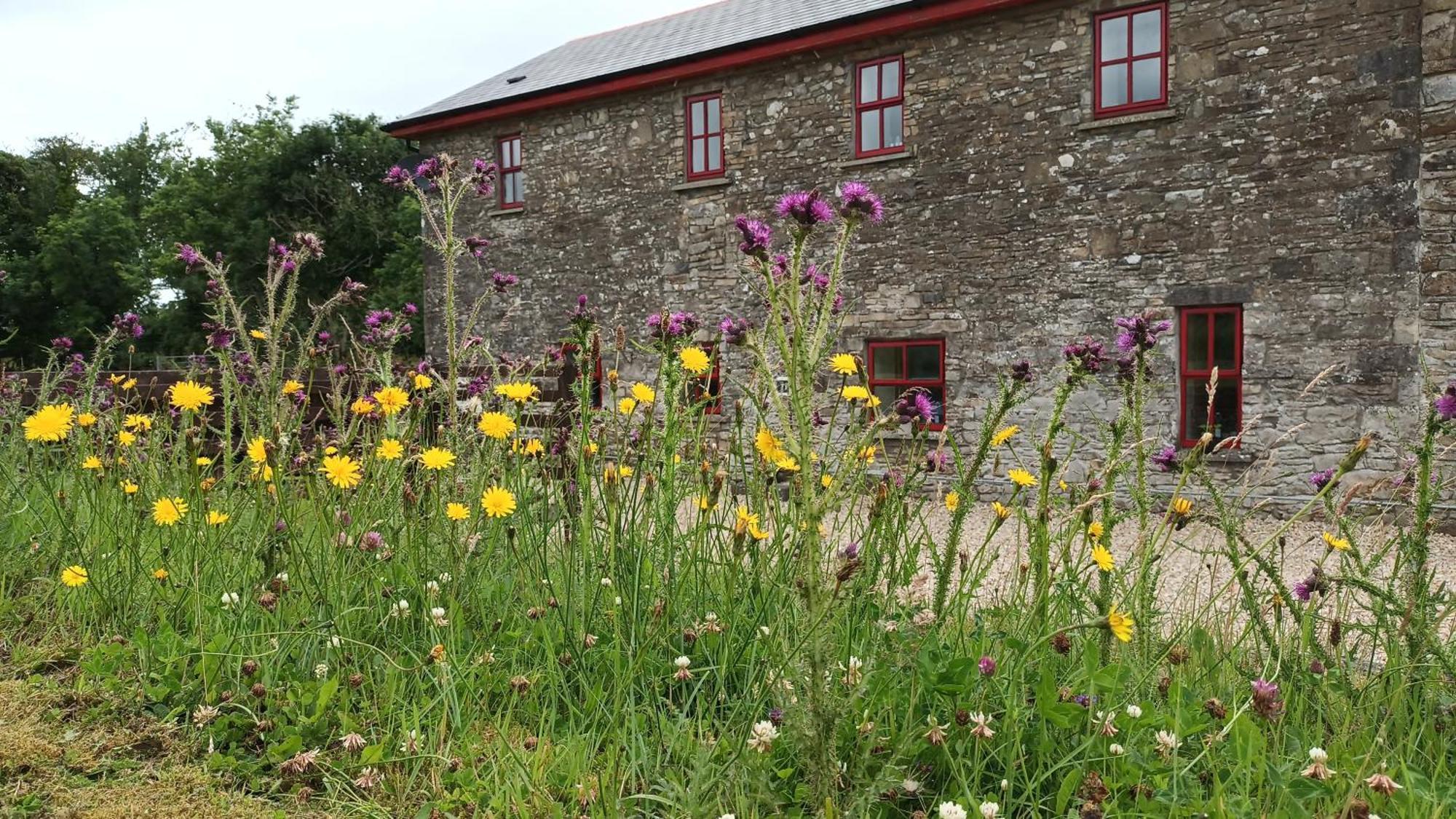 Villa The Old Mill, Kilcorkey, Bellanagare, Castlerea, County Roscommon - West Of Ireland -House 1 Exterior foto